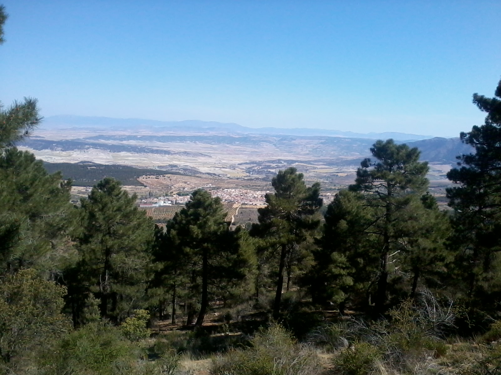 Ver imagen